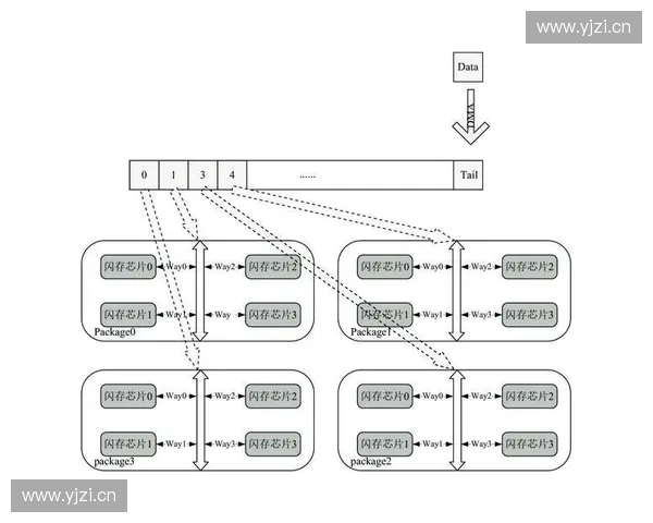 基于训练排序优化算法的研究与应用探索