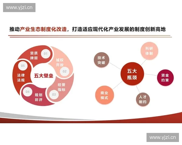 以对抗耐药抗性为核心的综合策略与创新路径探索实践应用前景研究
